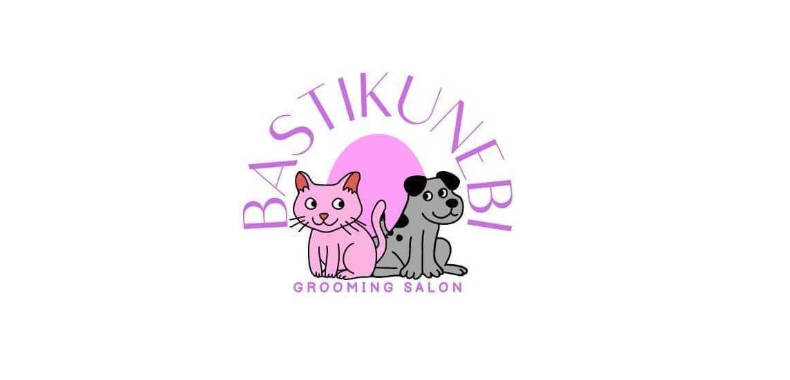 ბასტიკუნები